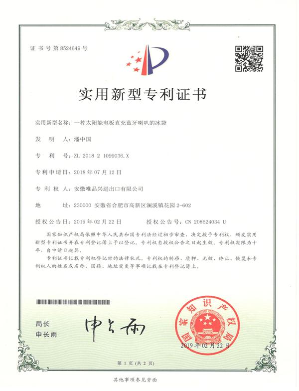 Cooler Bag Patent Certificate